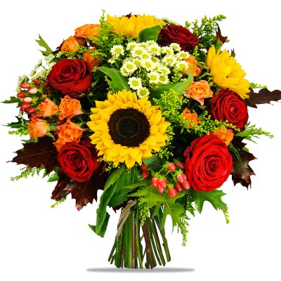 Mixed Sunflowers